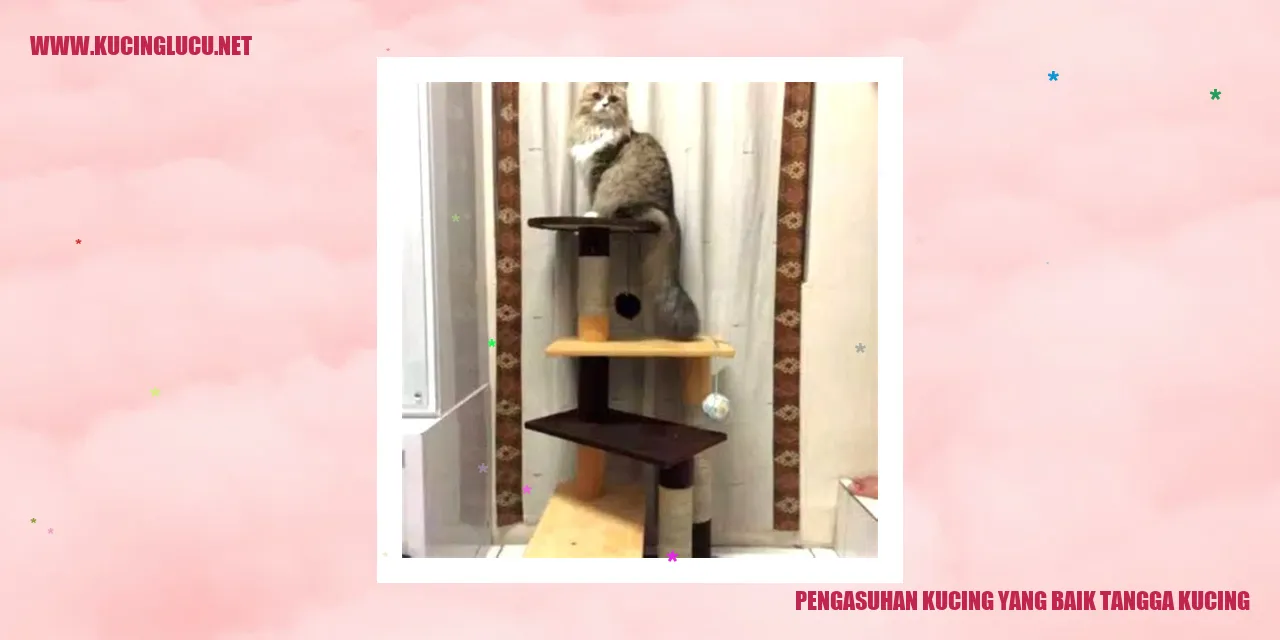 Gambar kucing dan tangga
