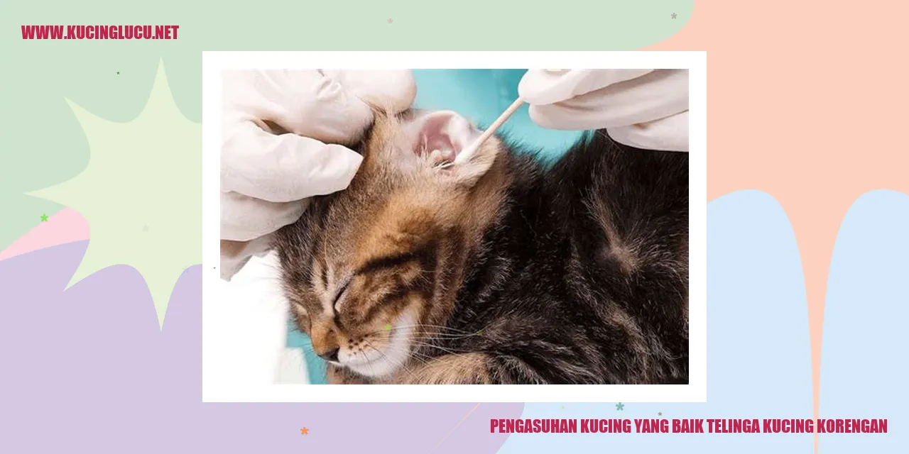 gambar kucing