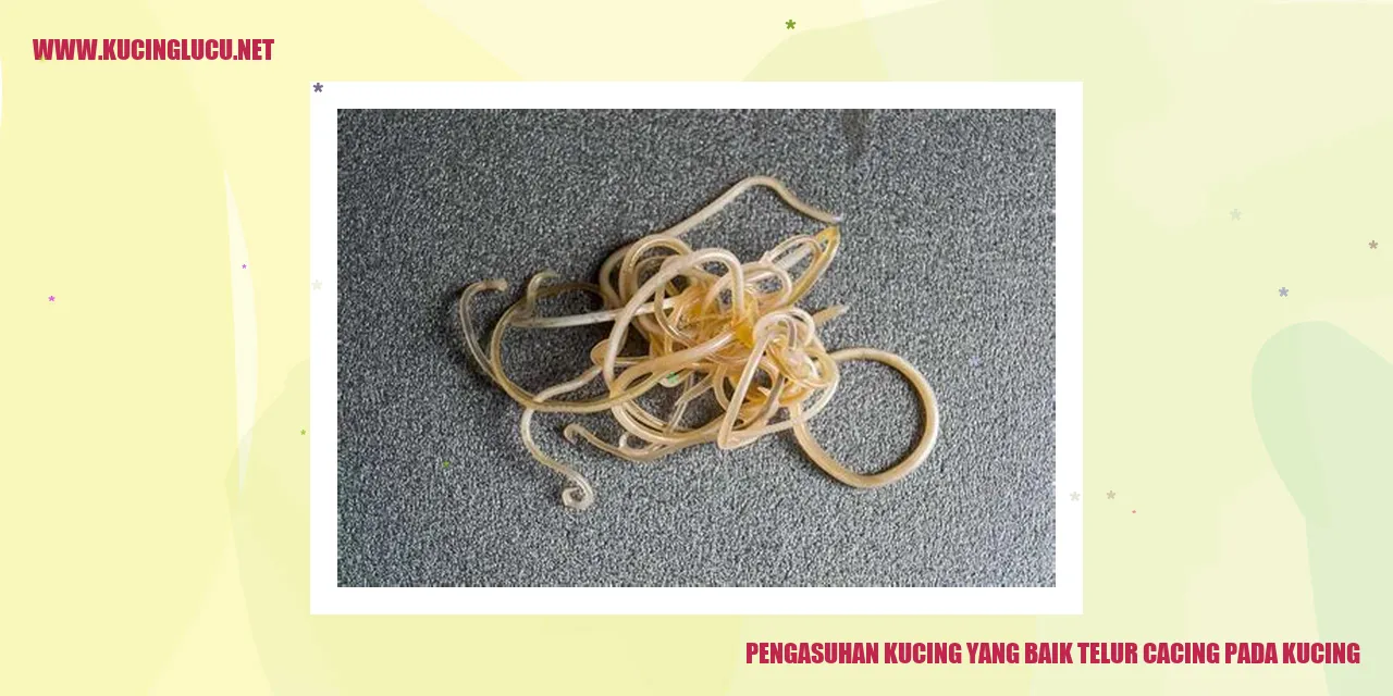 Gambar Kucing yang Menggemaskan