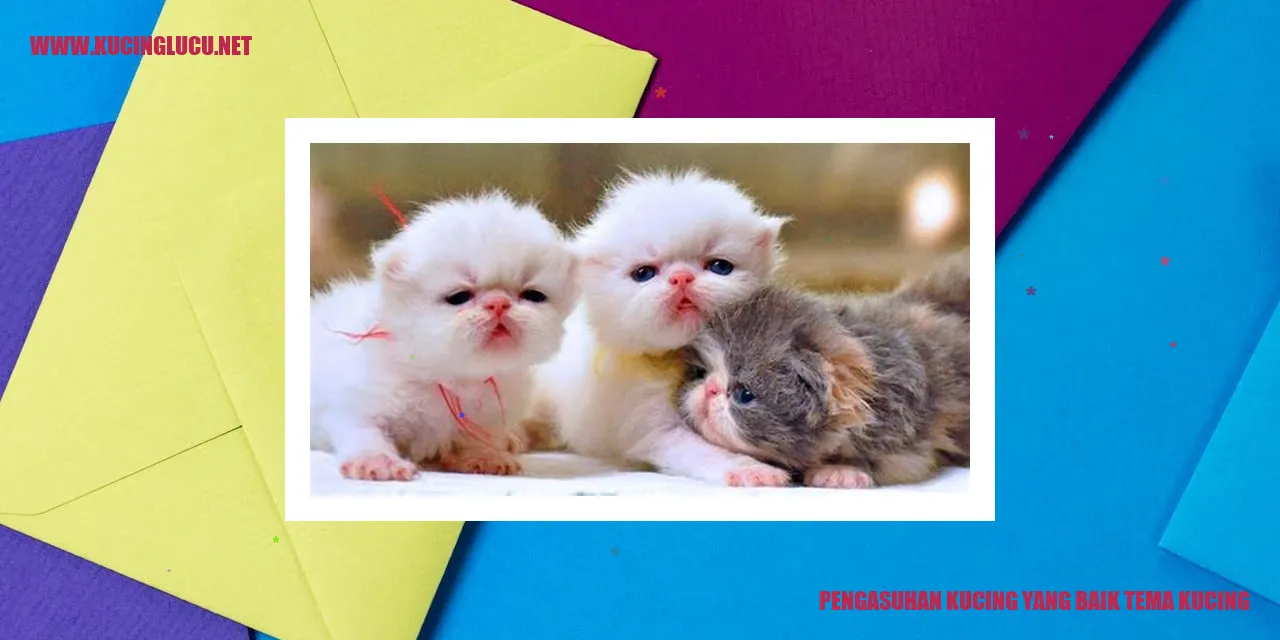 Kucing yang bahagia