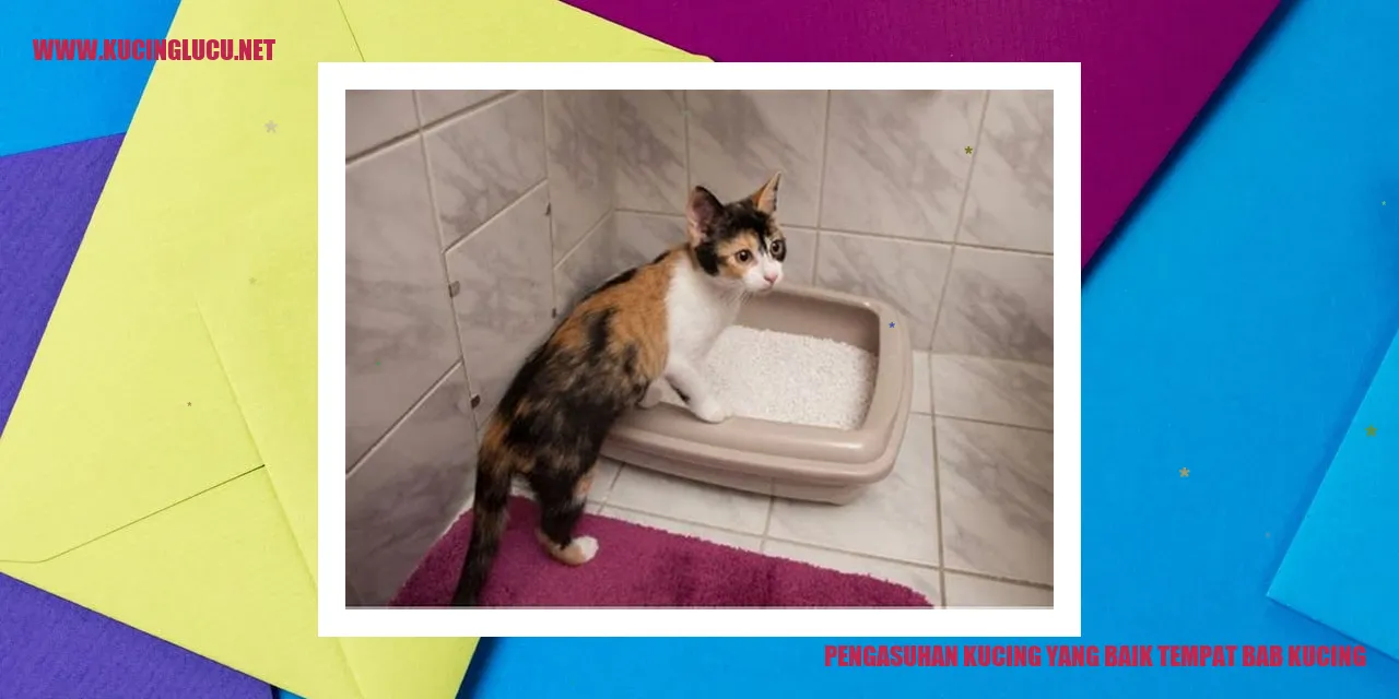 Kucing Lucu