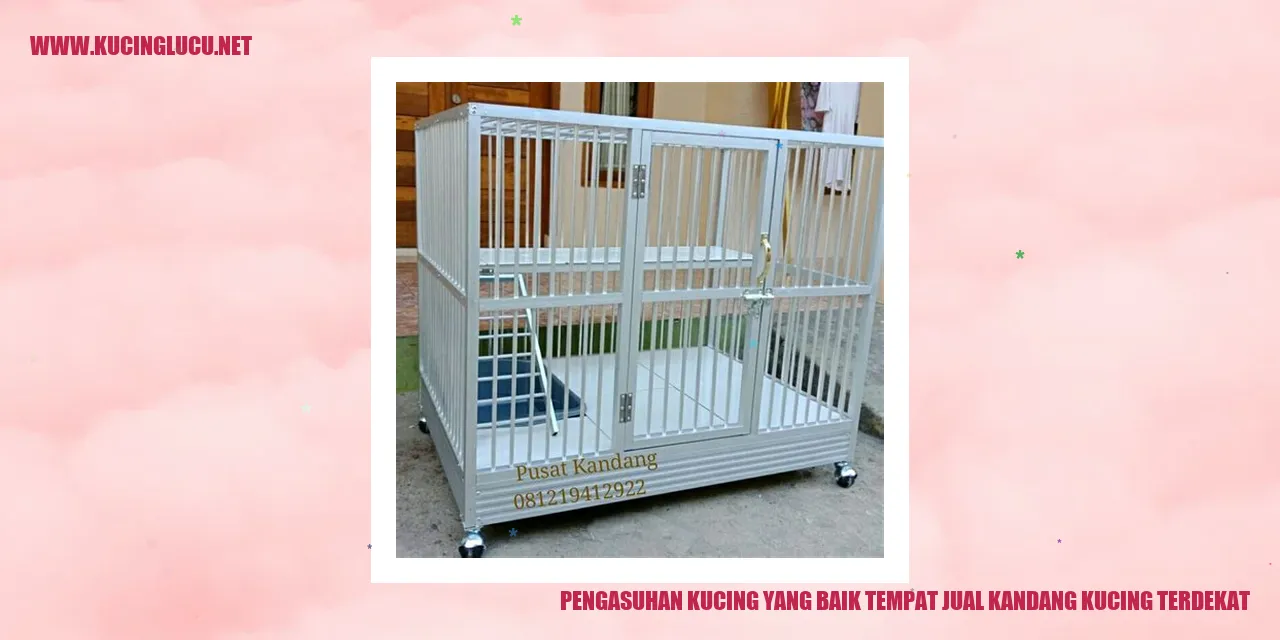 Pentingnya Memahami Cara Memelihara Kucing yang Baik dan Menemukan Toko Kandang Kucing Terdekat