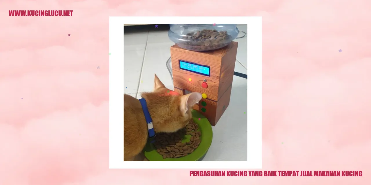 Pengasuhan Kucing yang Baik tempat jual makanan kucing
