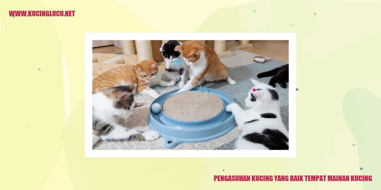 Kucing menikmati bermain dengan mainan
