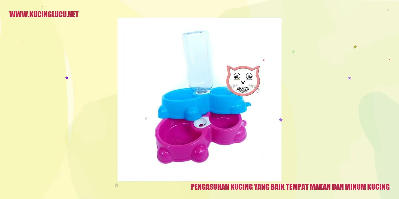 Kucing memakan dan meminum