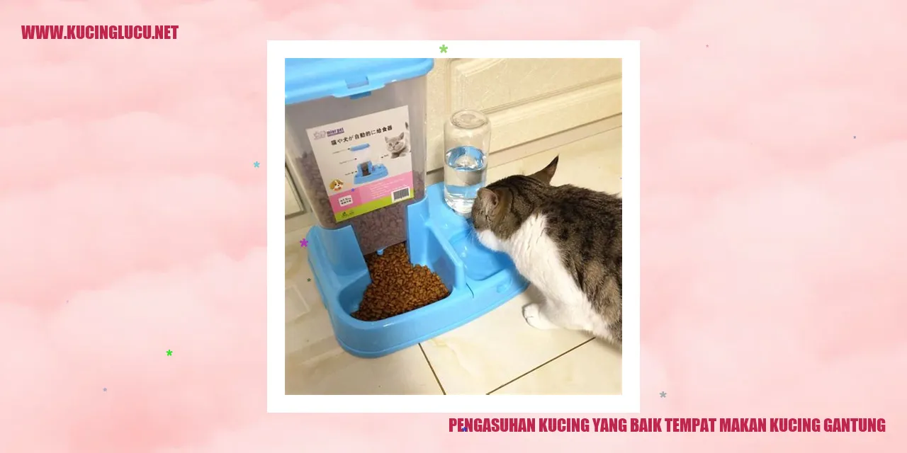 Kucing dengan peralatan makan