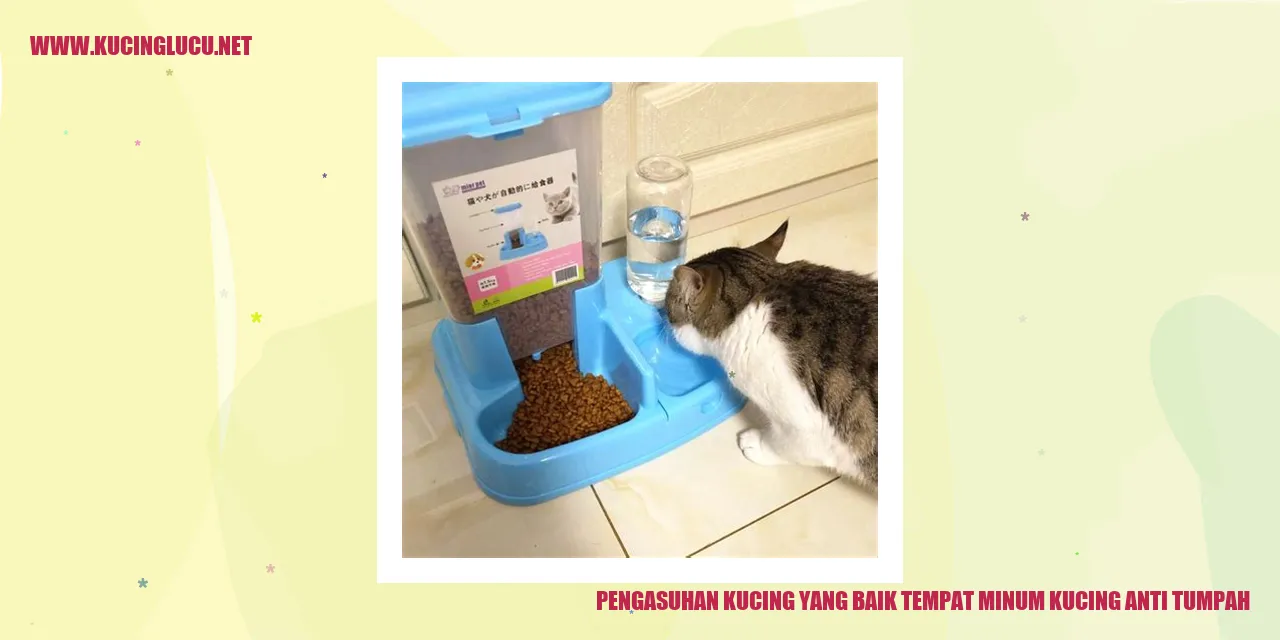 Tempat Minum Kucing Anti Tumpah