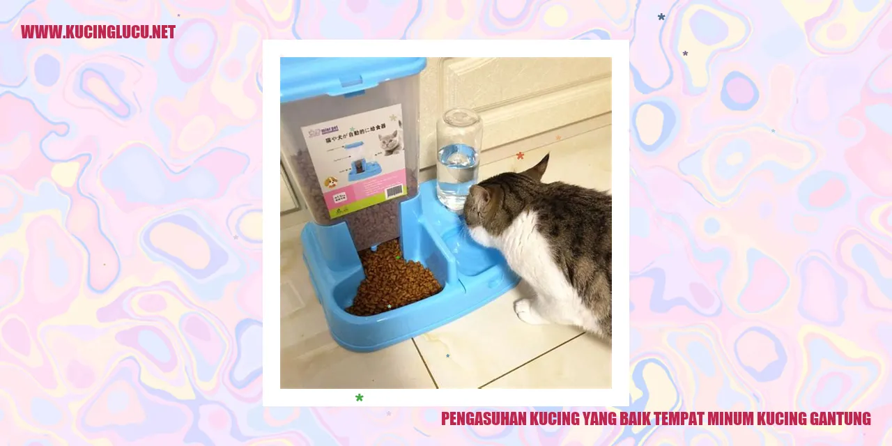 Gambar Kucing Minum