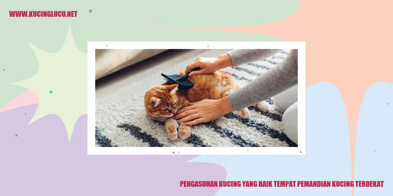 Kucing yang sehat dan bahagia