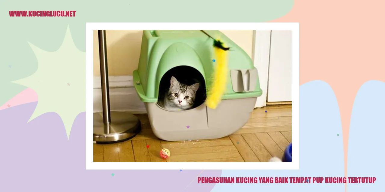Gambar kucing pup
