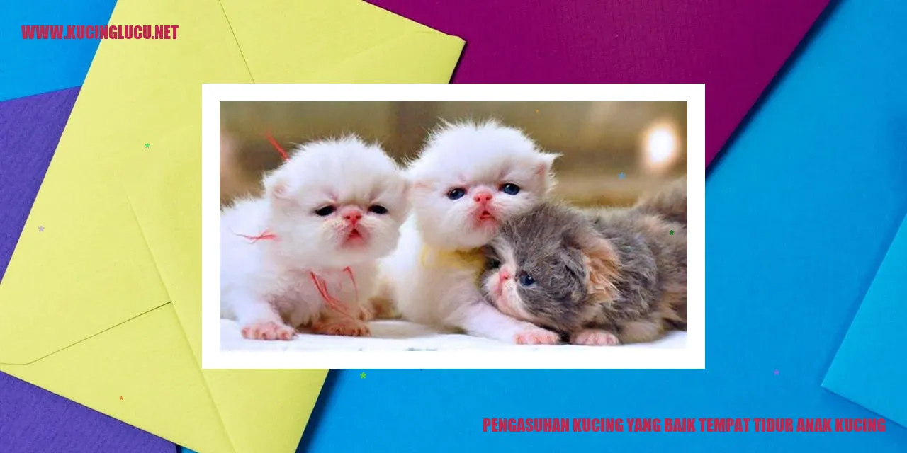 Anak kucing tidur