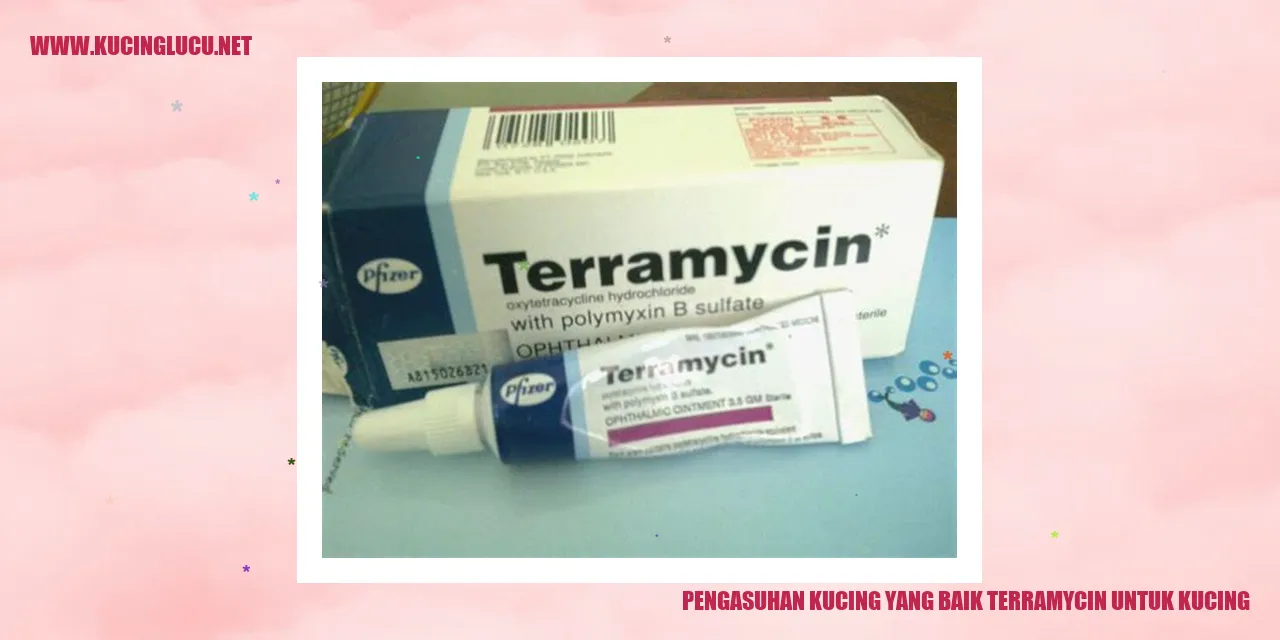 Pemeliharaan yang Baik untuk Kucing