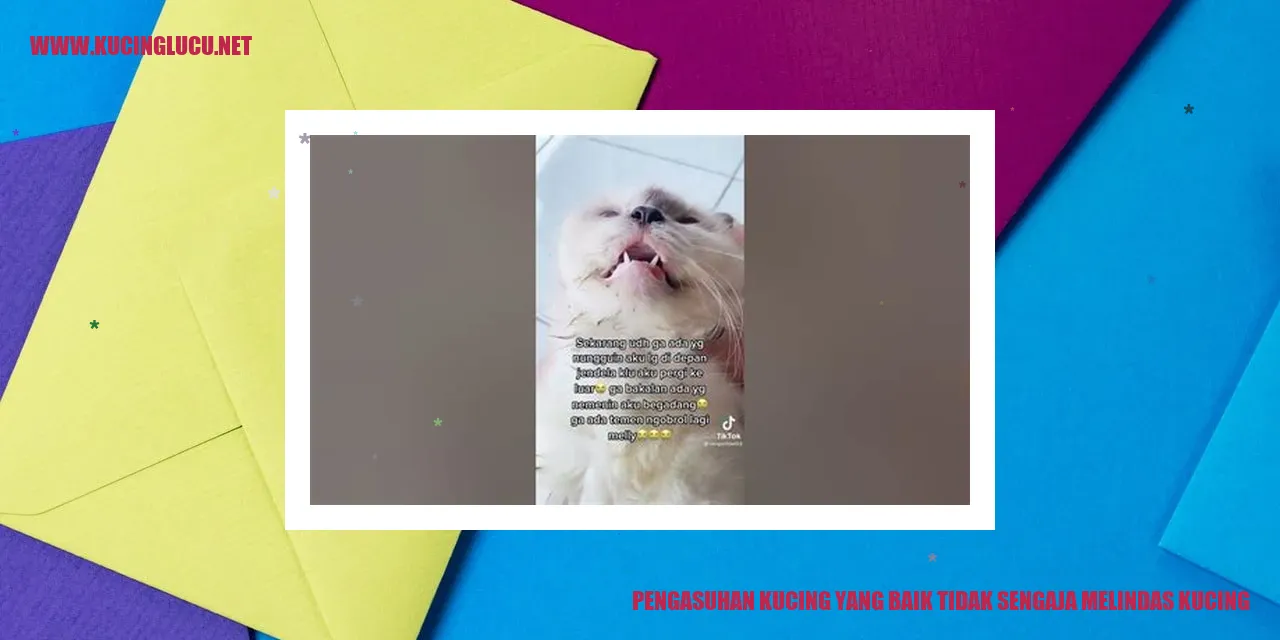 Gambar kucing lucu