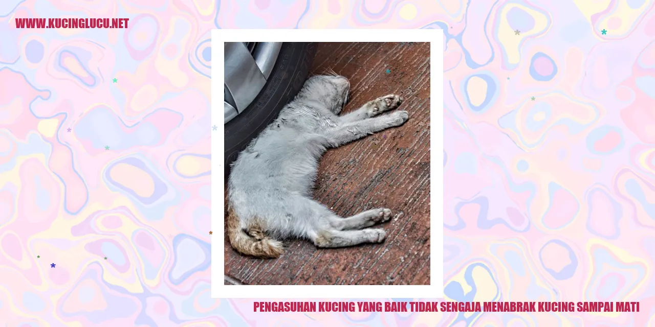 Gambar kucing