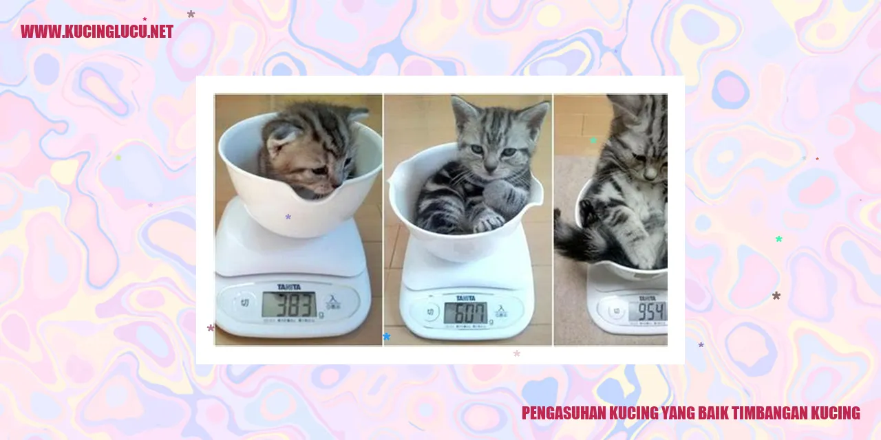 Pengasuhan Kucing yang Baik Timbangan Kucing