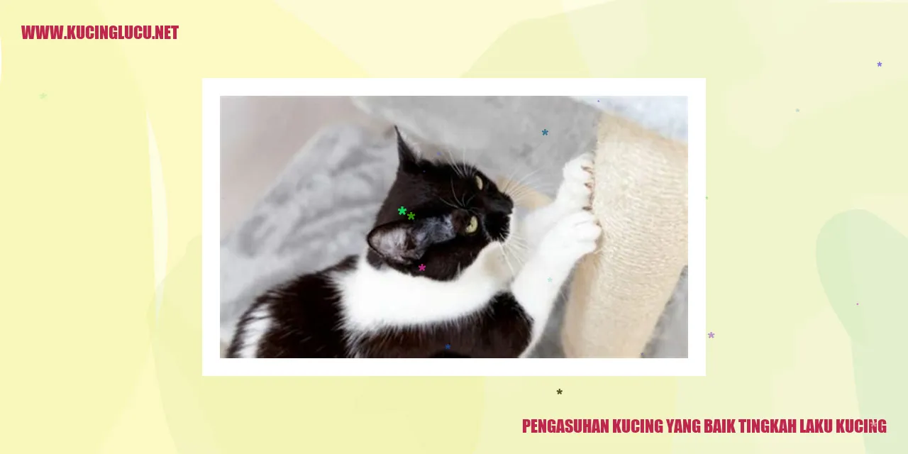 Kucing yang Bahagia