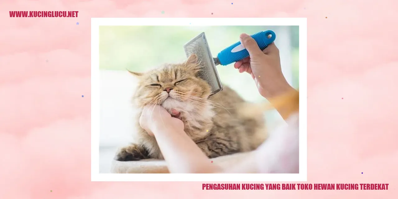Gambar Kucing Bahagia
