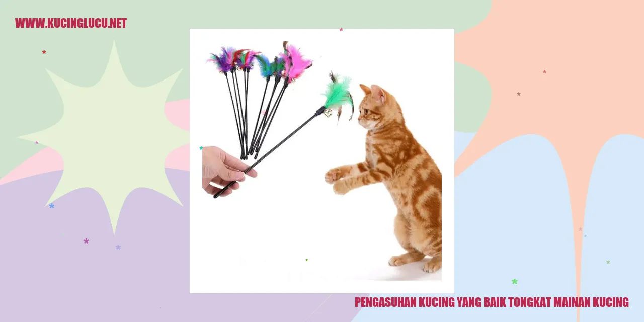 Kucing yang sedang bermain dengan tongkat mainan