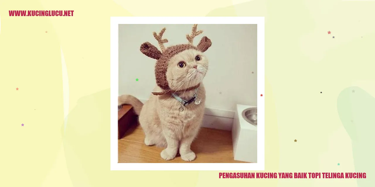Gambar Kucing