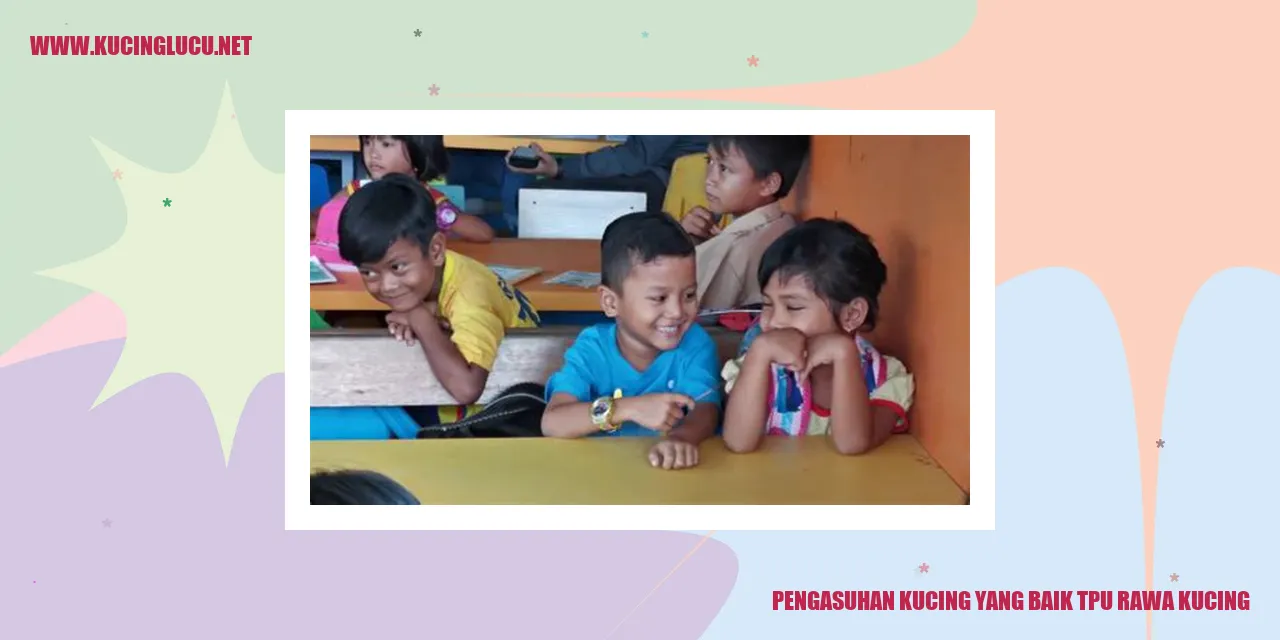Gambar Kucing yang Sehat dan Bahagia