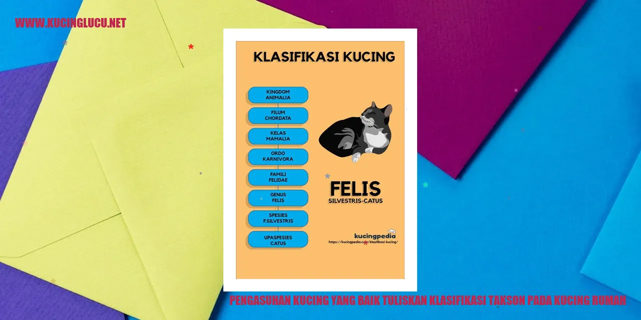 Pengasuhan Kucing yang Baik