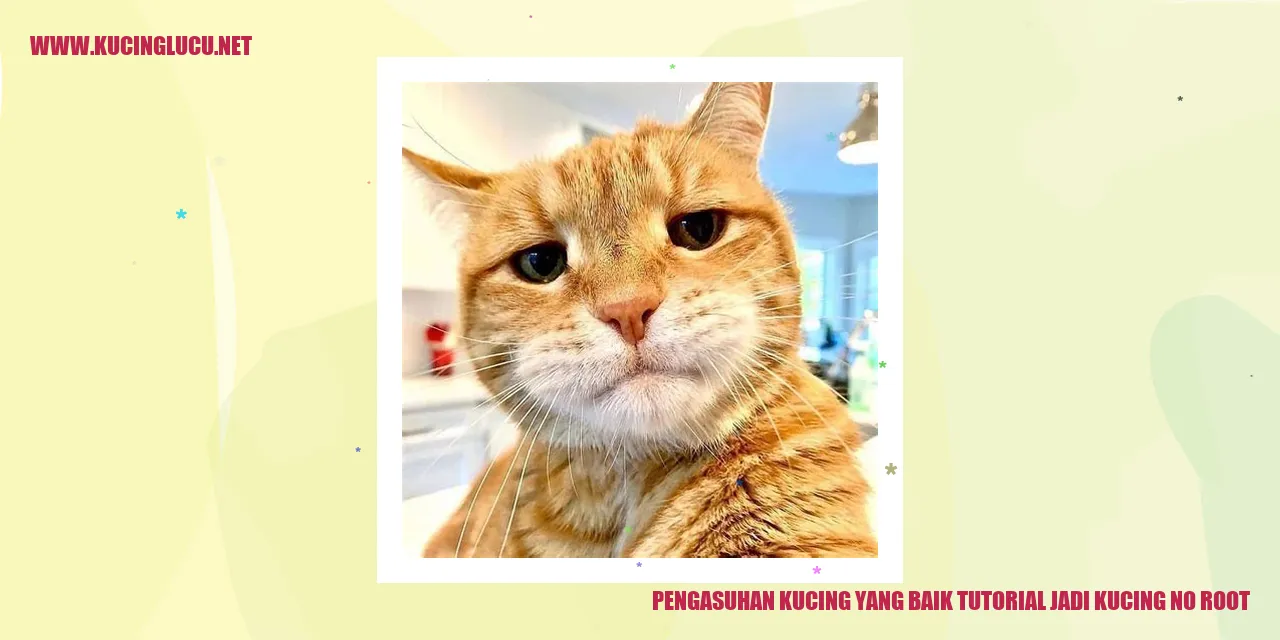 Gambar kucing sedang bahagia