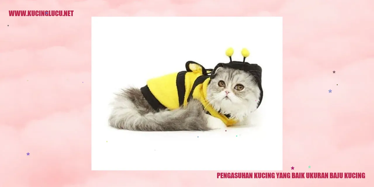 Gambar Kucing Menggemaskan