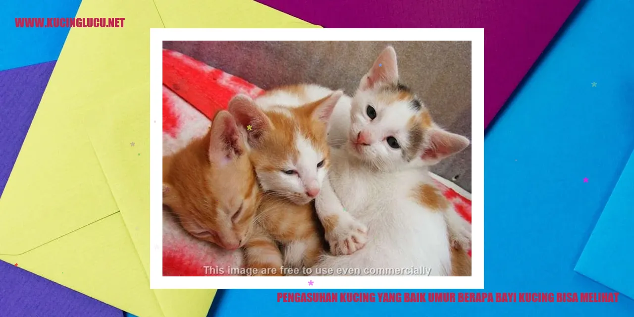 Panduan Terbaik dalam Merawat Kucing Bayi: Kapan Mereka Mampu Melihat?