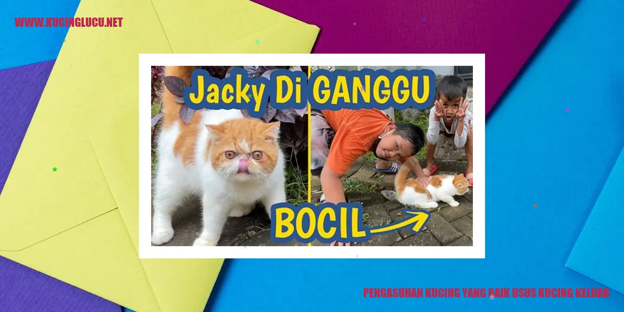 Gambar Lucu Kucing