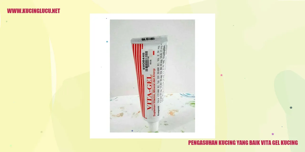 Kucing yang Sehat dengan Vita Gel Kucing