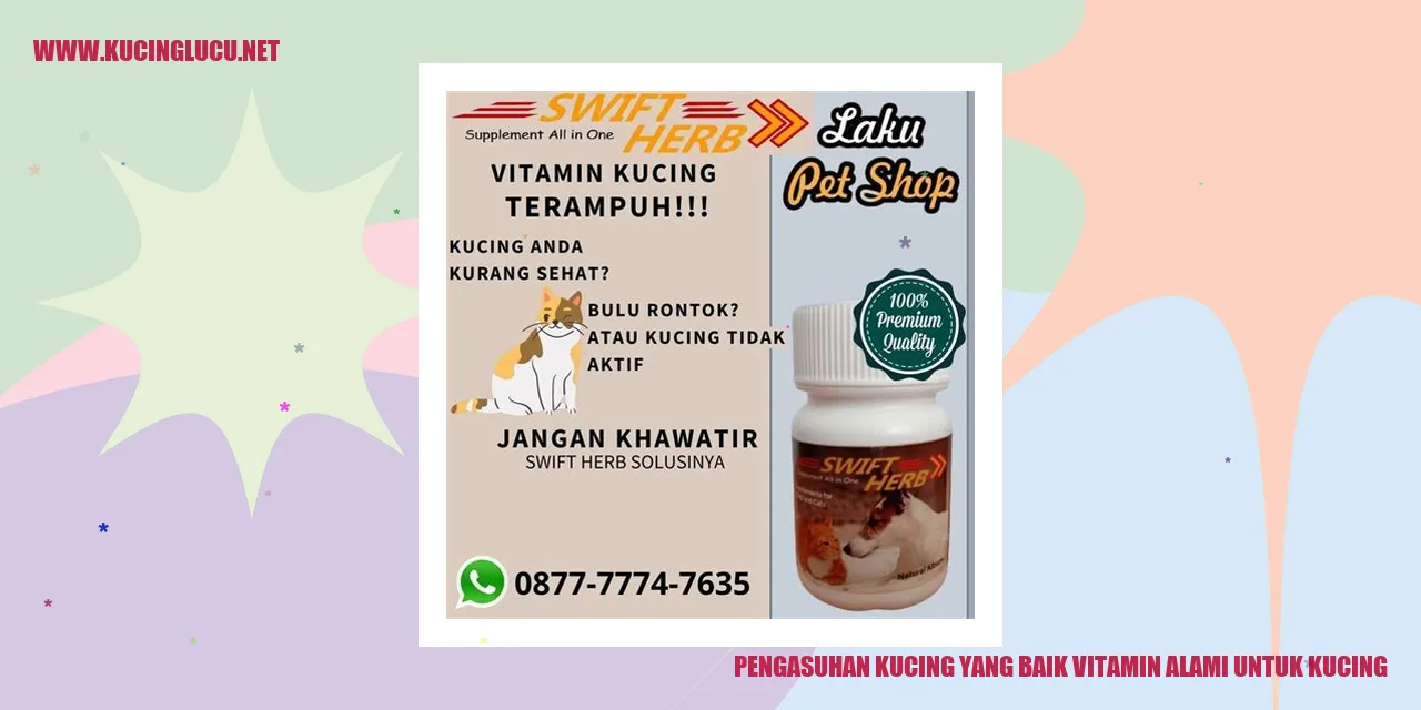 kucing sehat