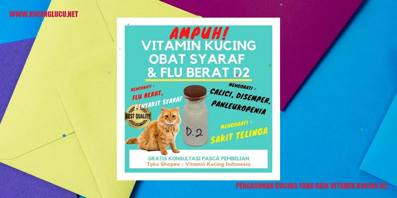 Kucing