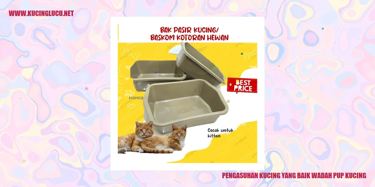 kucing mengendus wadah pup kucing