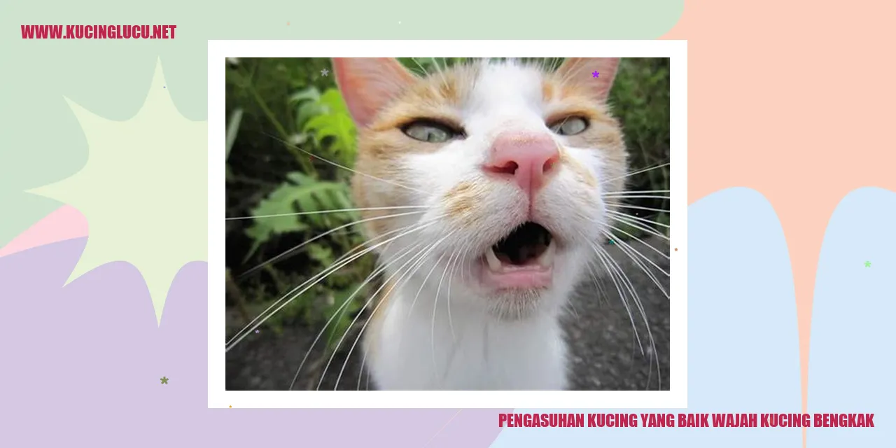 Penyebab wajah kucing bengkak