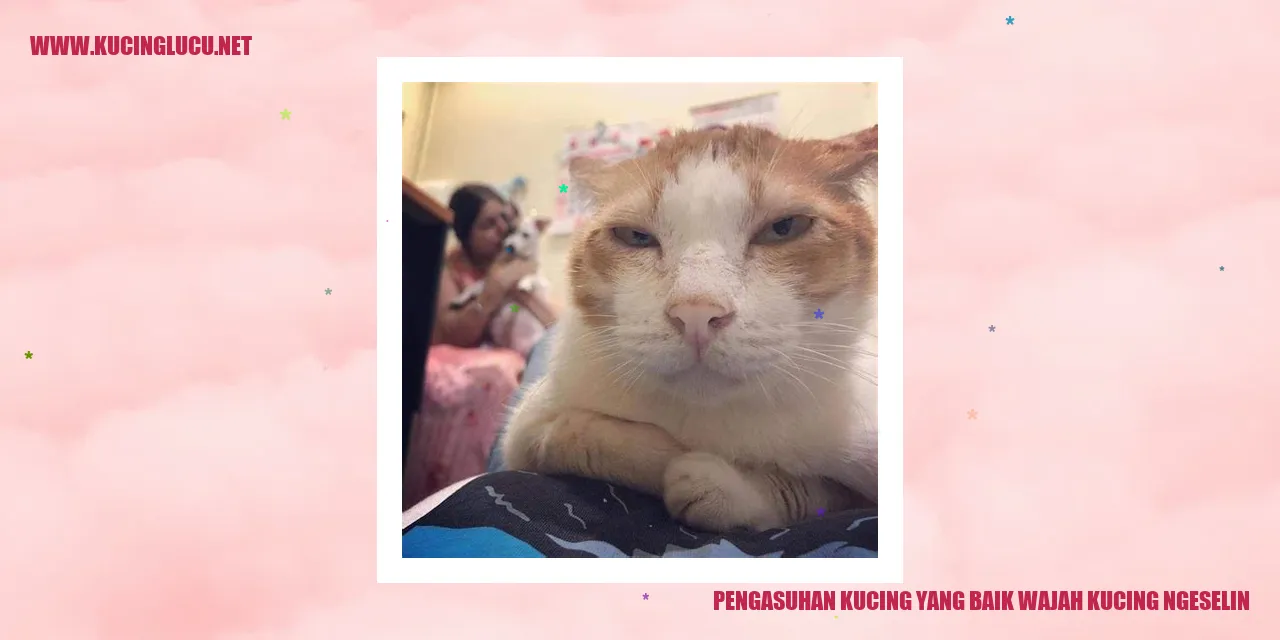 Kucing Menggemaskan