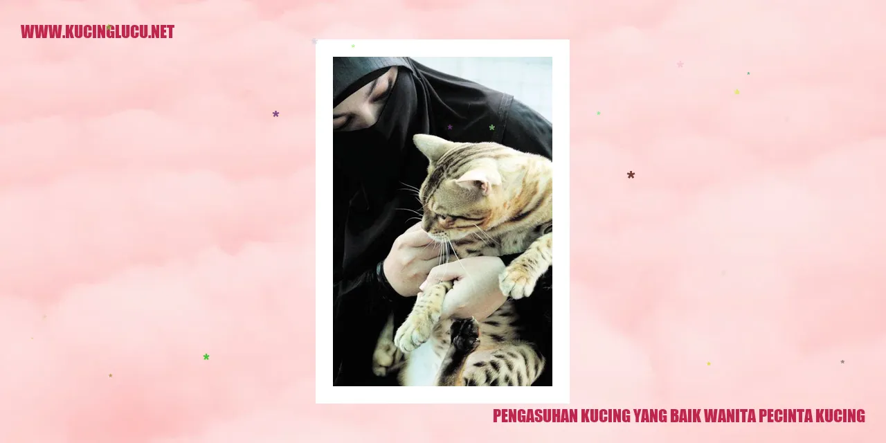 Pengasuhan Kucing yang Baik wanita pecinta kucing