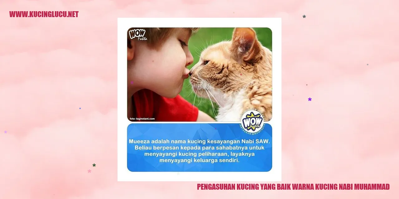 Perawatan yang Baik untuk Kucing