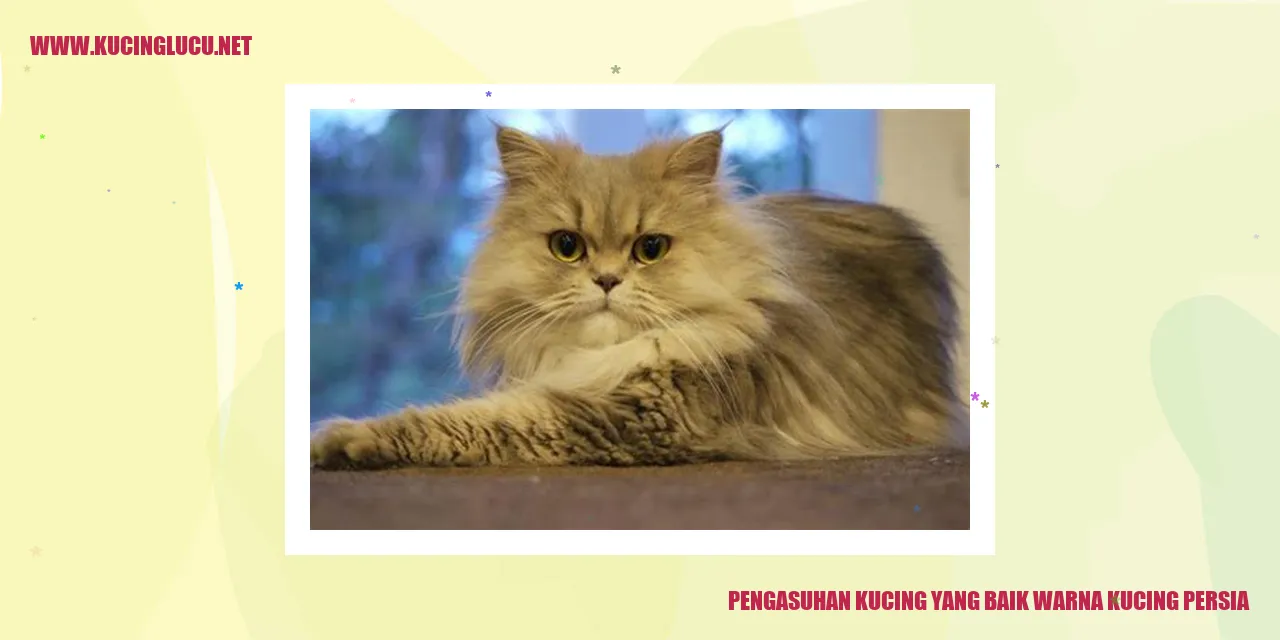 Kucing Persia yang Menggemaskan
