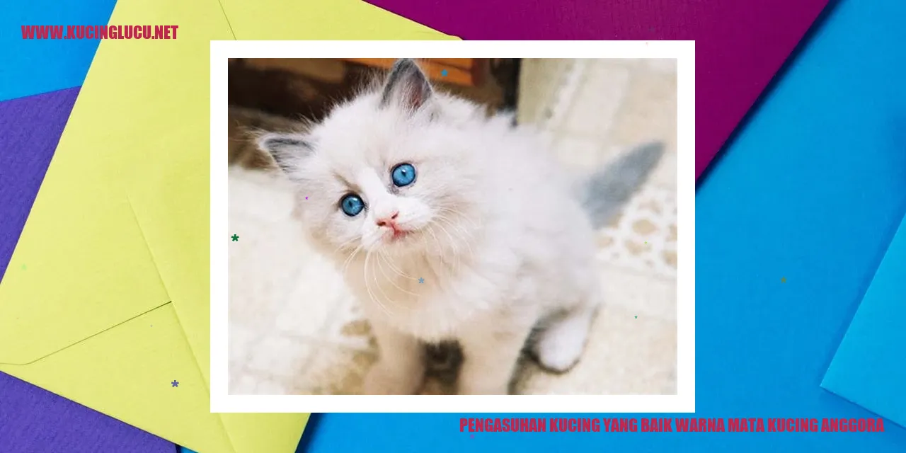 Kucing Anggora dengan Warna Mata yang Indah
