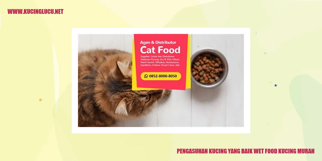 Pengasuhan Kucing yang Baik wet food kucing murah
