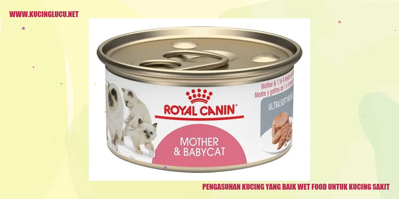 Gambar - Pentingnya Memberikan Wet Food saat Kucing Sakit