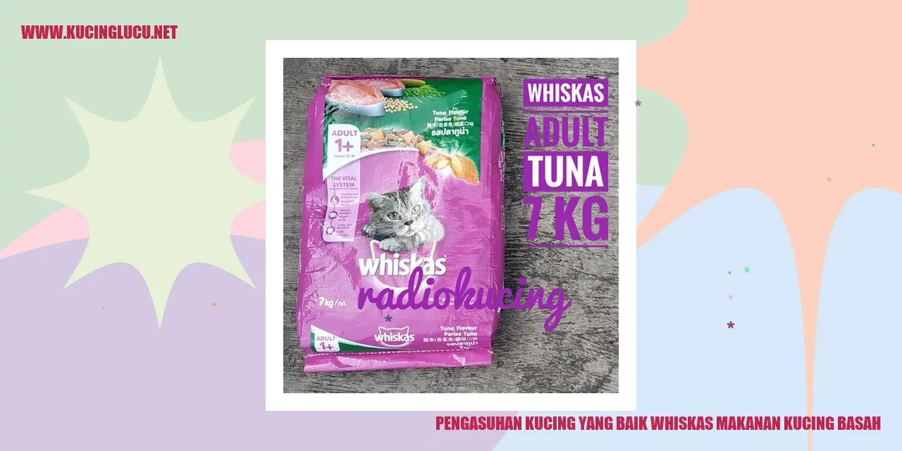Kucing yang sehat dan bahagia