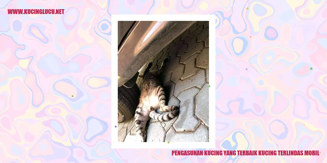 Kucing yang Baik
