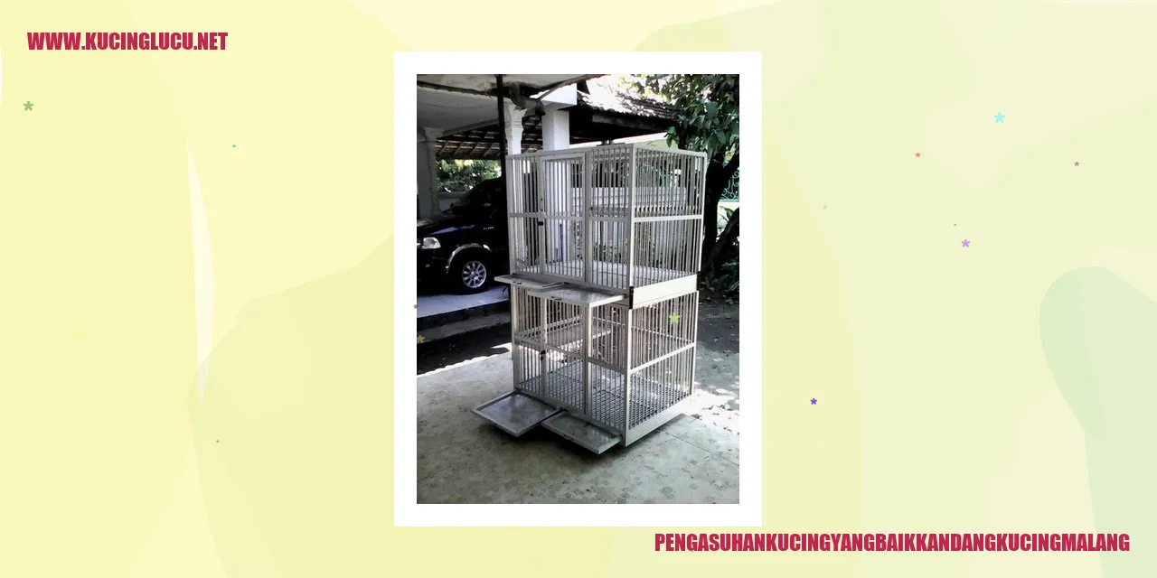 Gambar Kandang Kucing