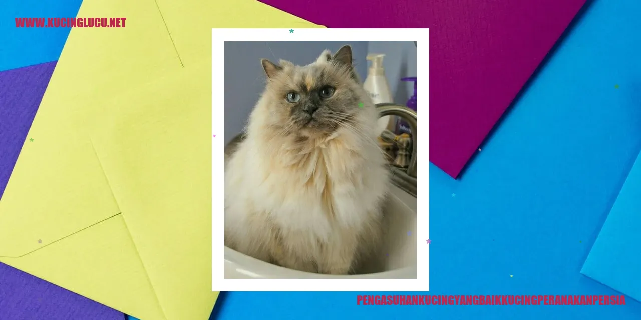 Kucing Peranakan Persia