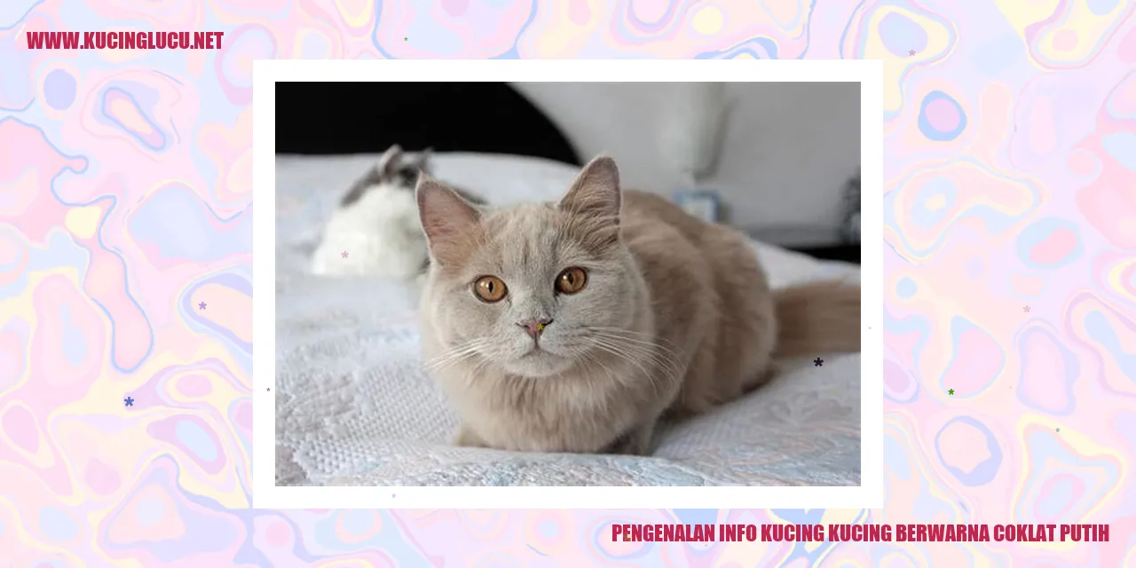 Kucing Berwarna Coklat Putih