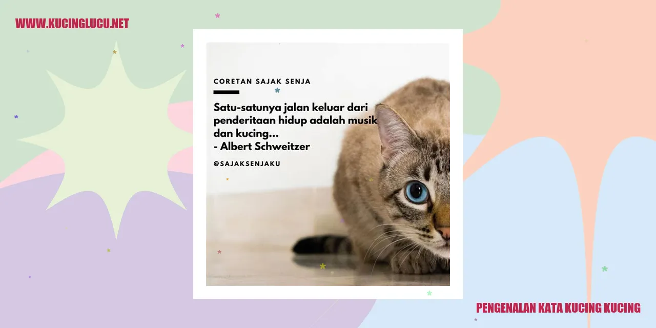 Pengenalan tentang Kucing