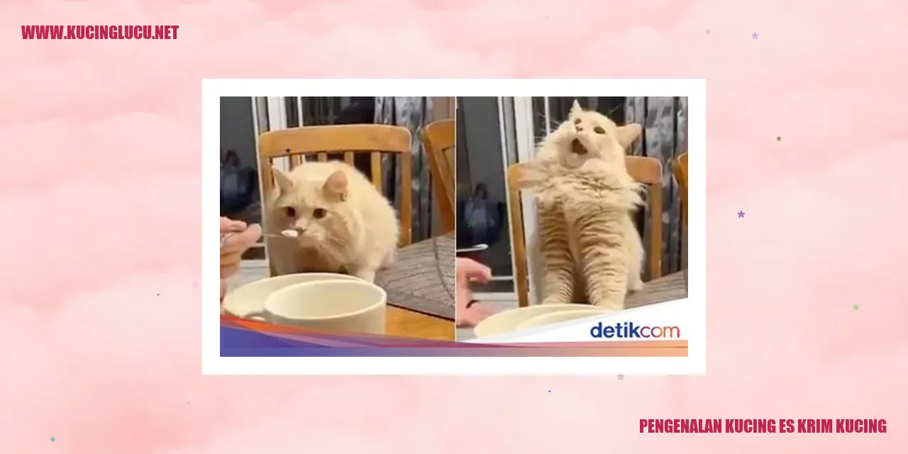 Foto Kucing Es Krim Kucing