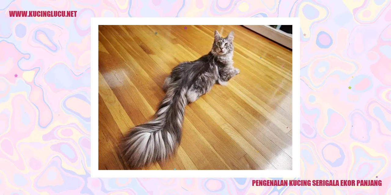 Kucing Serigala Ekor Panjang