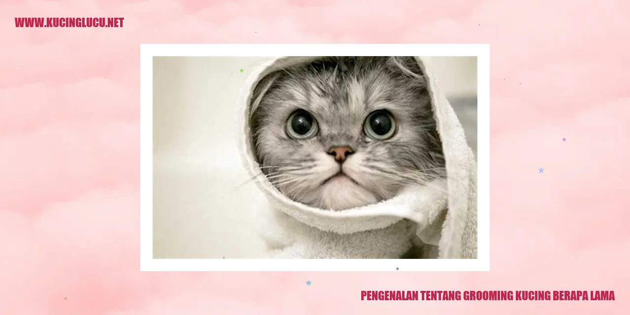 Perawatan Kucing